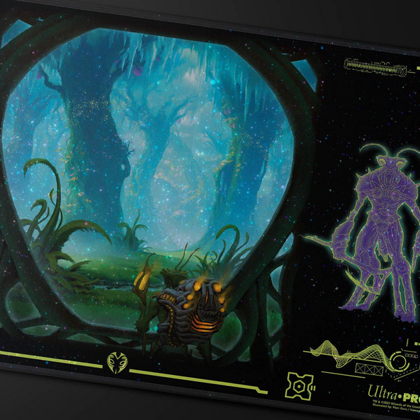 Evendo, Waking Haven HOLOFOIL - Magic: The Gathering — Edge of Eternities